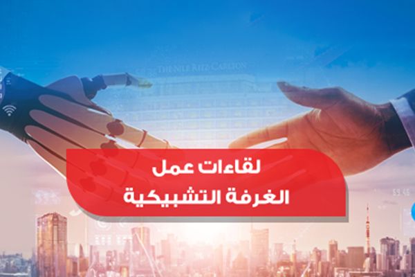 اللقاءات التشبيكية